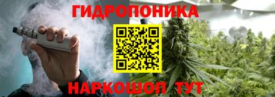 ешки Будённовск