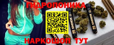 ешки Будённовск