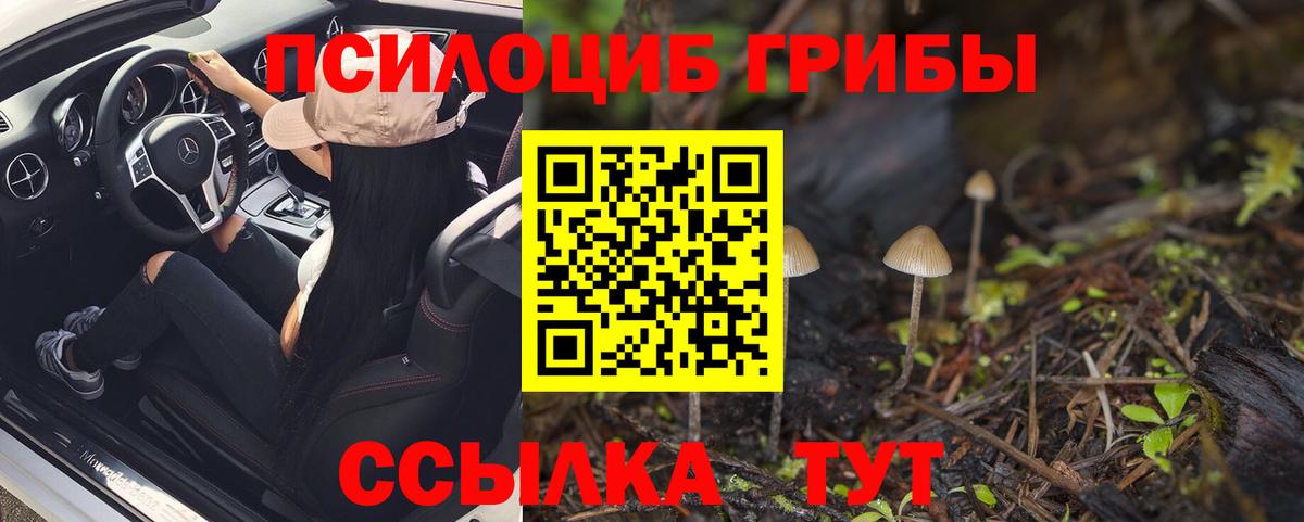 Новокузнецк  Псилоцибиновые грибы Magic Shrooms  Вход с VPN  Псилоцибиновые грибы Magic Shrooms 